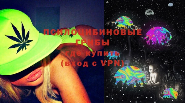 PSILOCYBIN Абдулино