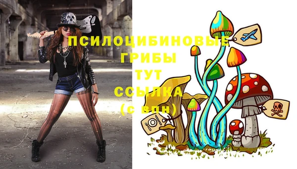 стафф Абаза