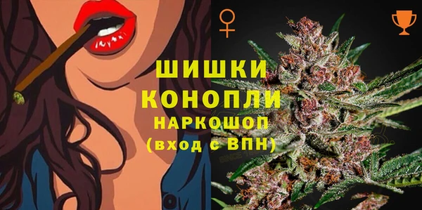 PSILOCYBIN Абдулино