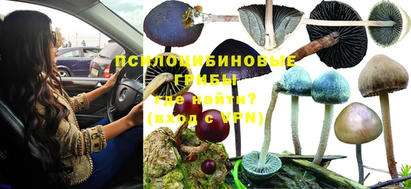 стафф Абаза