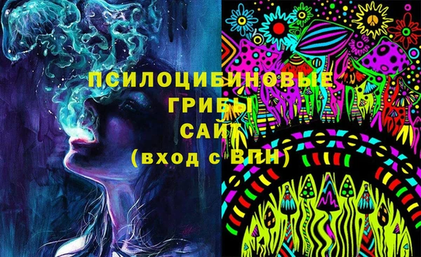 стафф Абаза